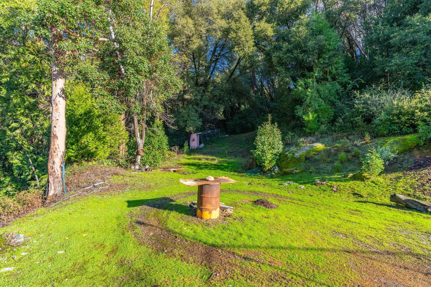 Ohls Road, Pioneer, California image 48