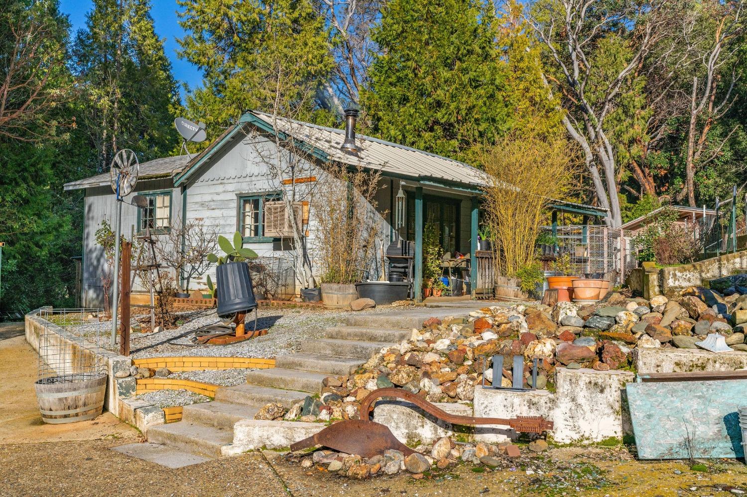 Ohls Road, Pioneer, California image 39