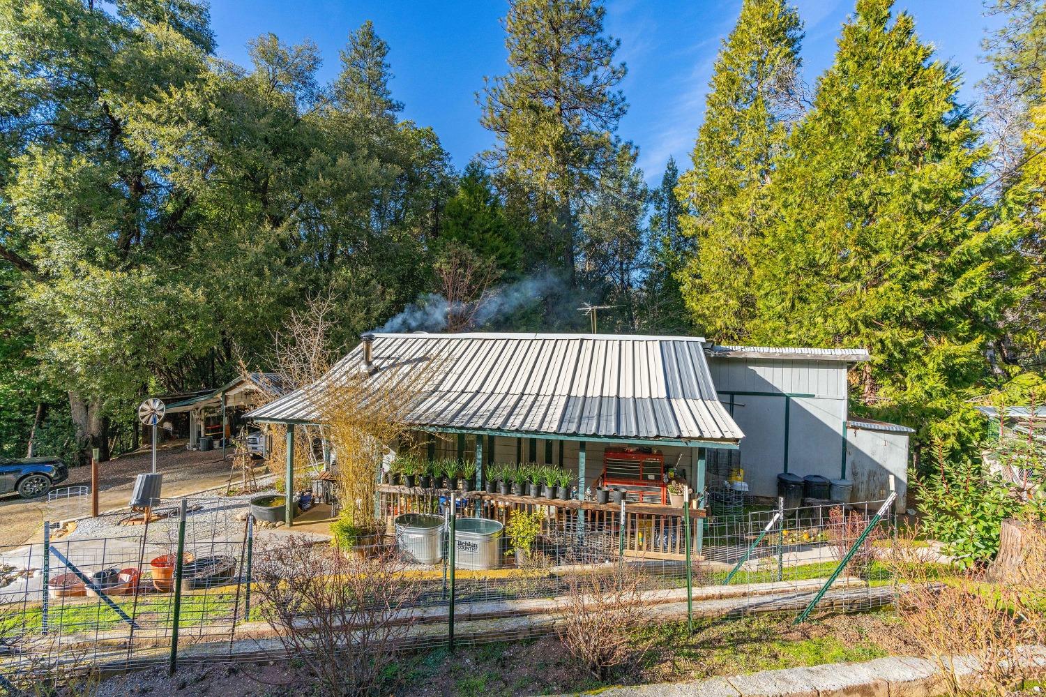 Ohls Road, Pioneer, California image 17