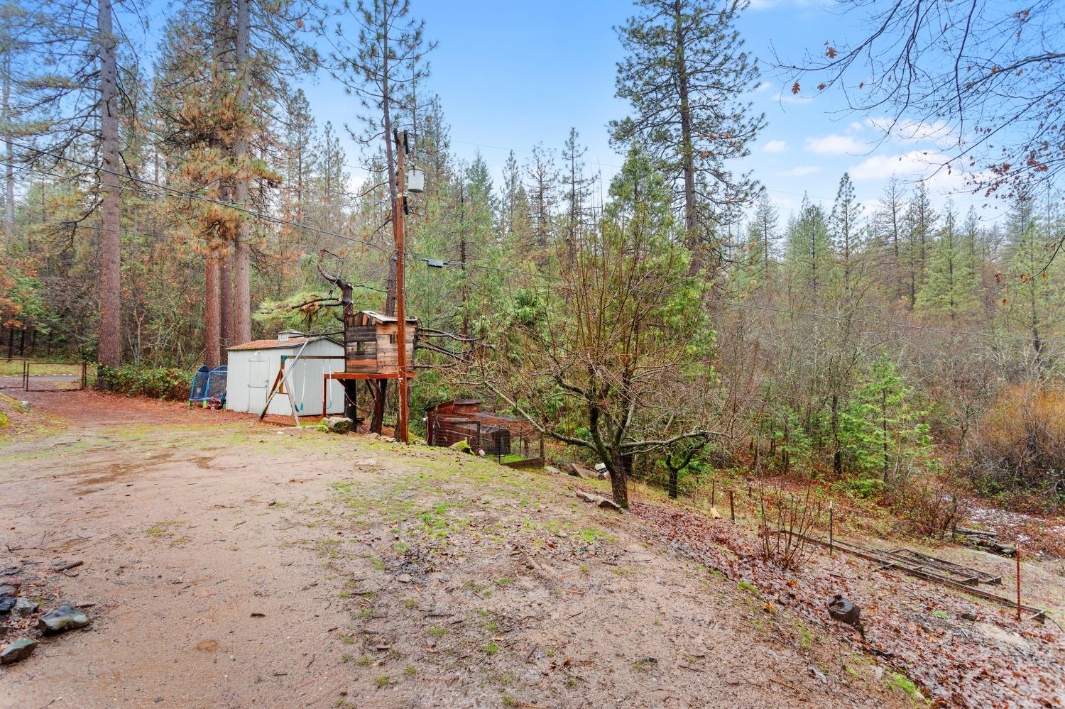 Sweeney Road, Somerset, California image 18