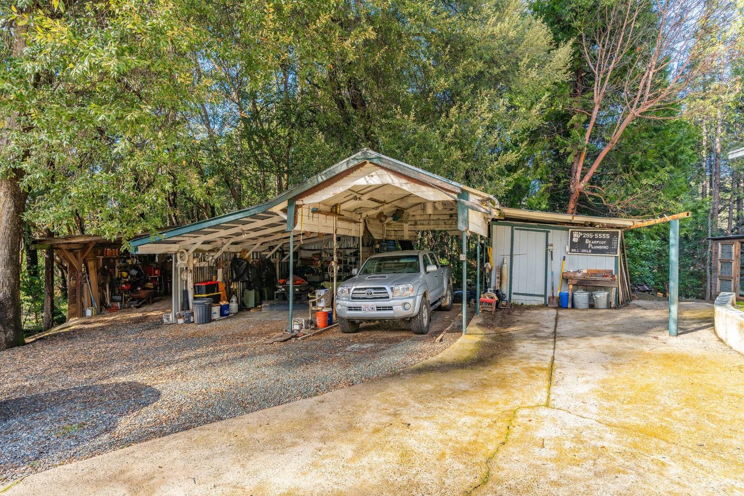Ohls Road, Pioneer, California image 18