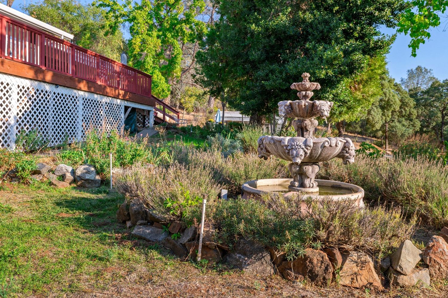 Indian Springs Road, Penn Valley, California image 37