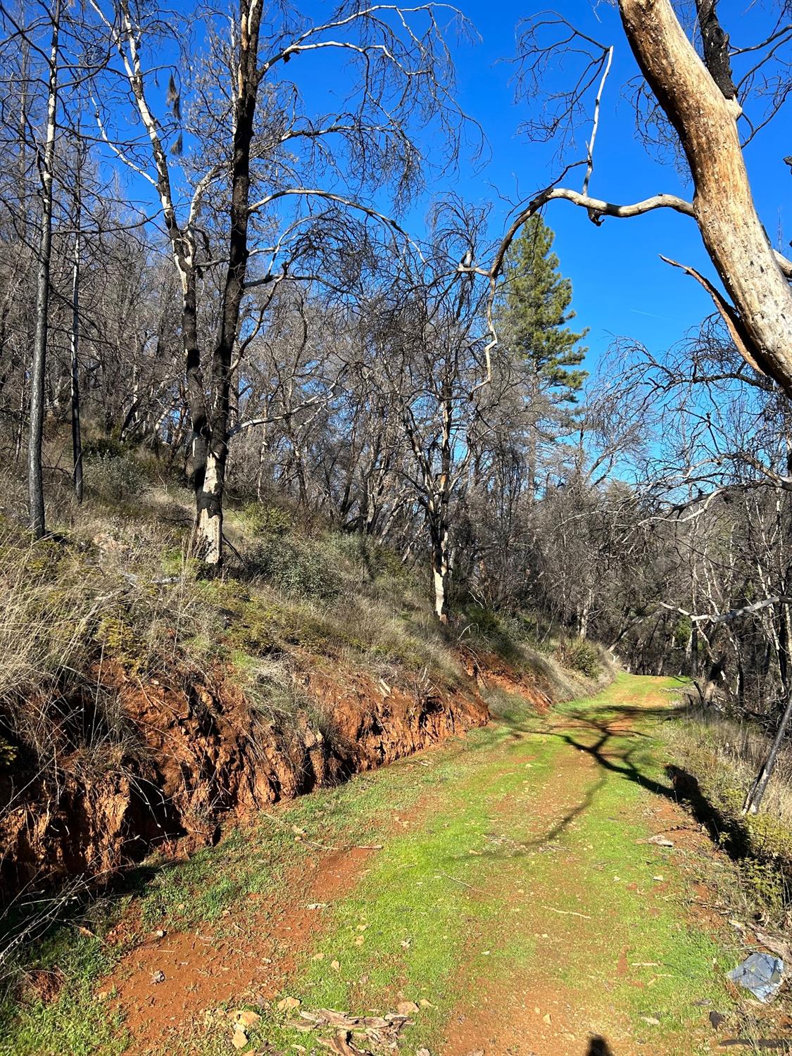 Silver Leaf Dr, Grass Valley, California image 16