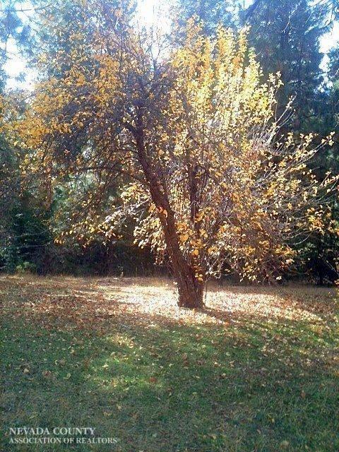 Lowell Hill Road, Nevada City, California image 6