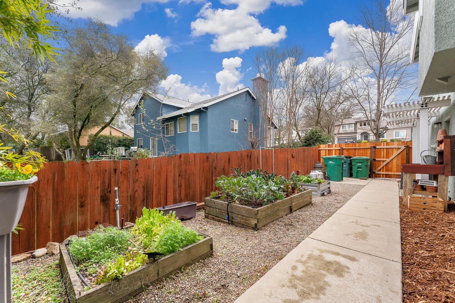 Berry Court, Cameron Park, California image 33