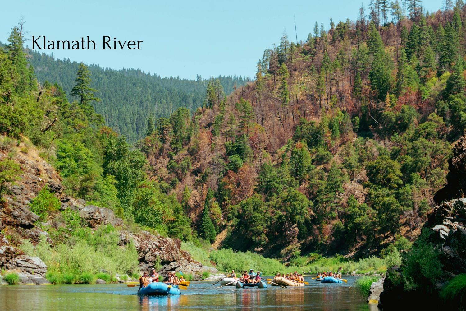 Siskiyou Way, Klamath, California image 6