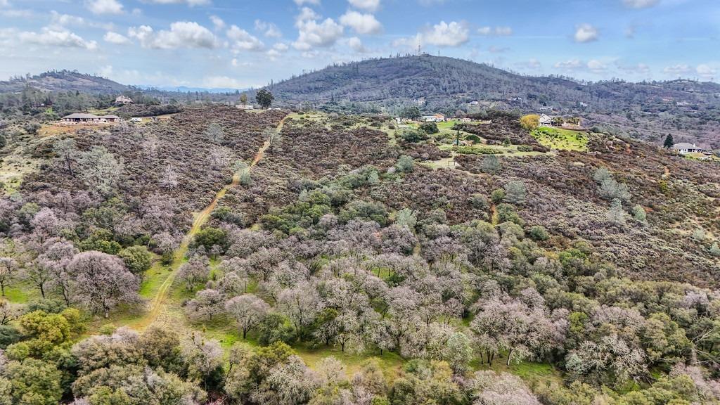 Bunzie Road, Rescue, California image 8