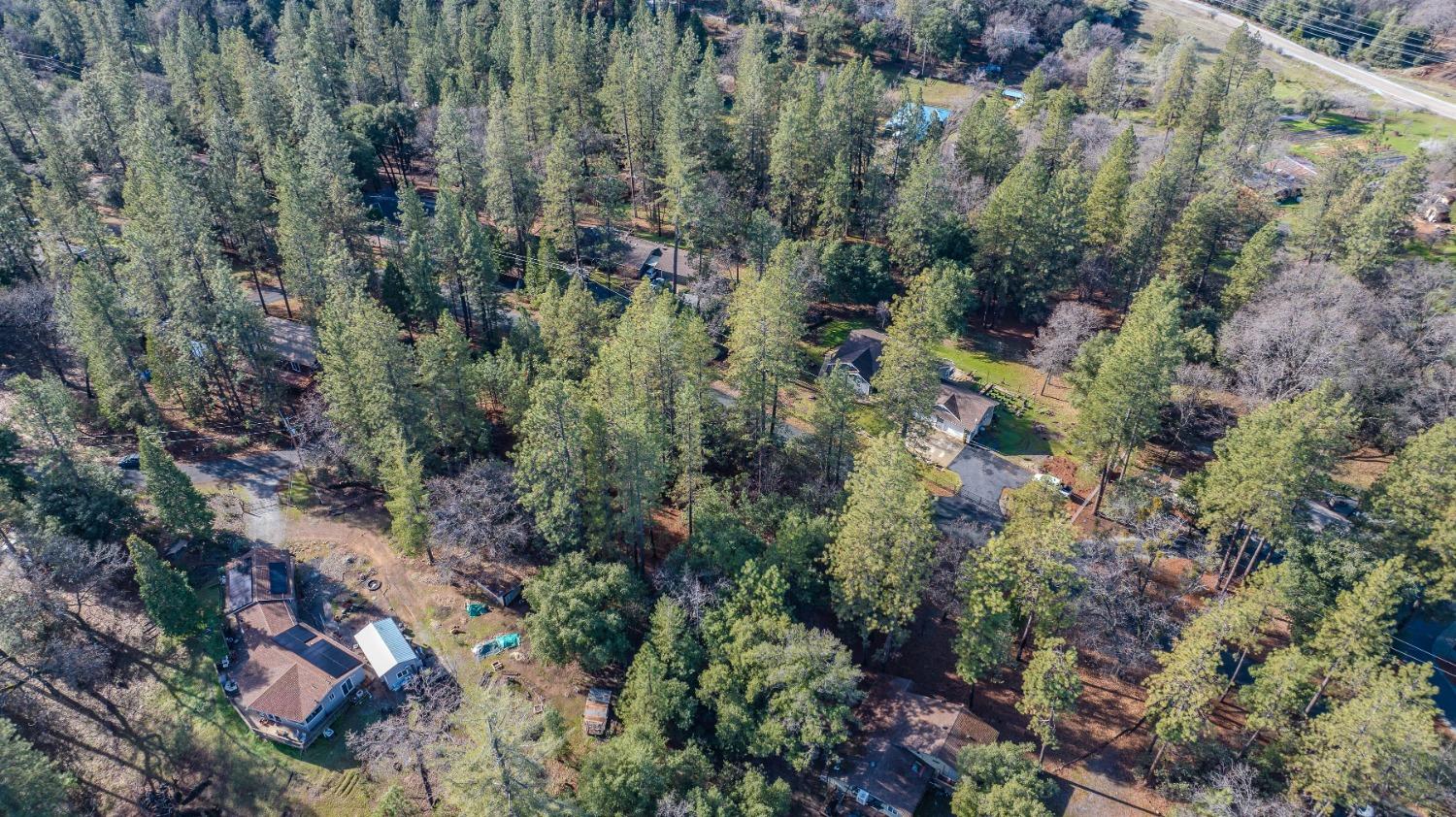 Lot 8 Pine Acres Unit #9, Pine Grove, California image 10