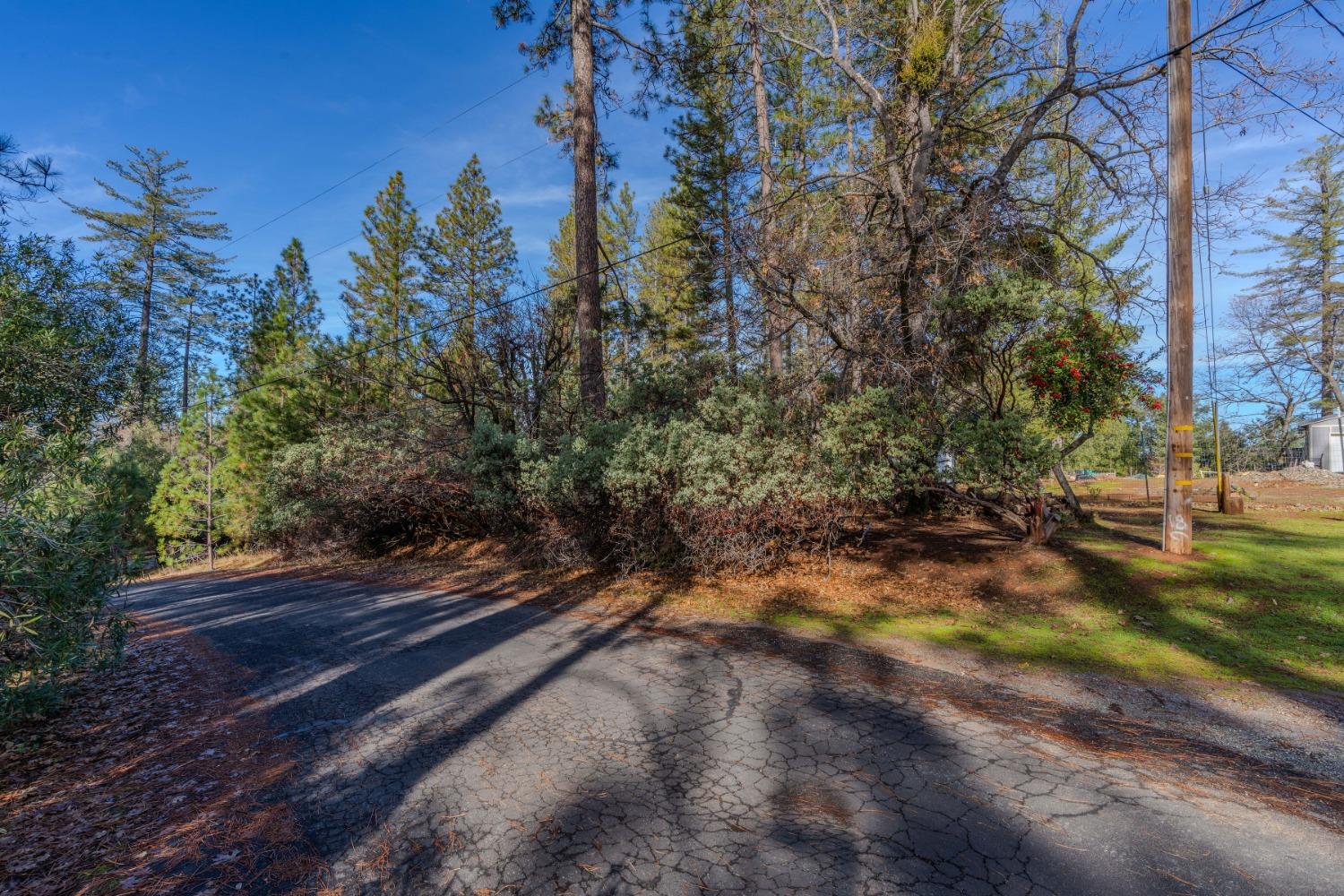 Lot 8 Pine Acres Unit #9, Pine Grove, California image 7