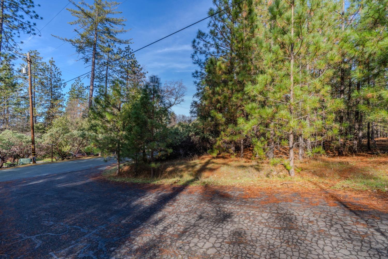 Lot 8 Pine Acres Unit #9, Pine Grove, California image 8