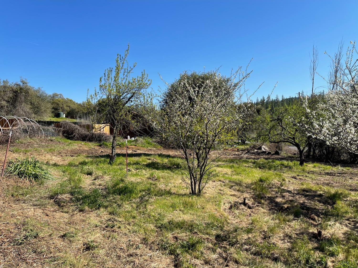 Detail Gallery Image 14 of 15 For 20274 Pleasant Valley Rd, North San Juan,  CA 95960 - 0 Beds | 0 Baths