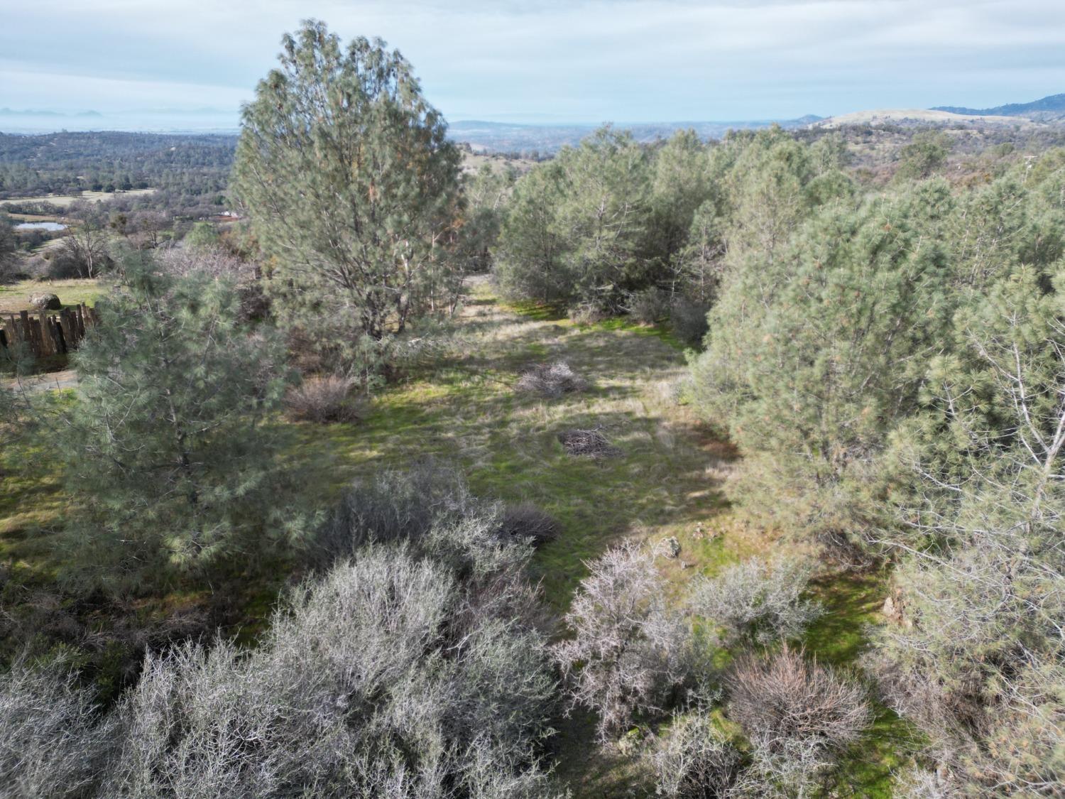 Wild Turkey Lane, Smartsville, California image 8