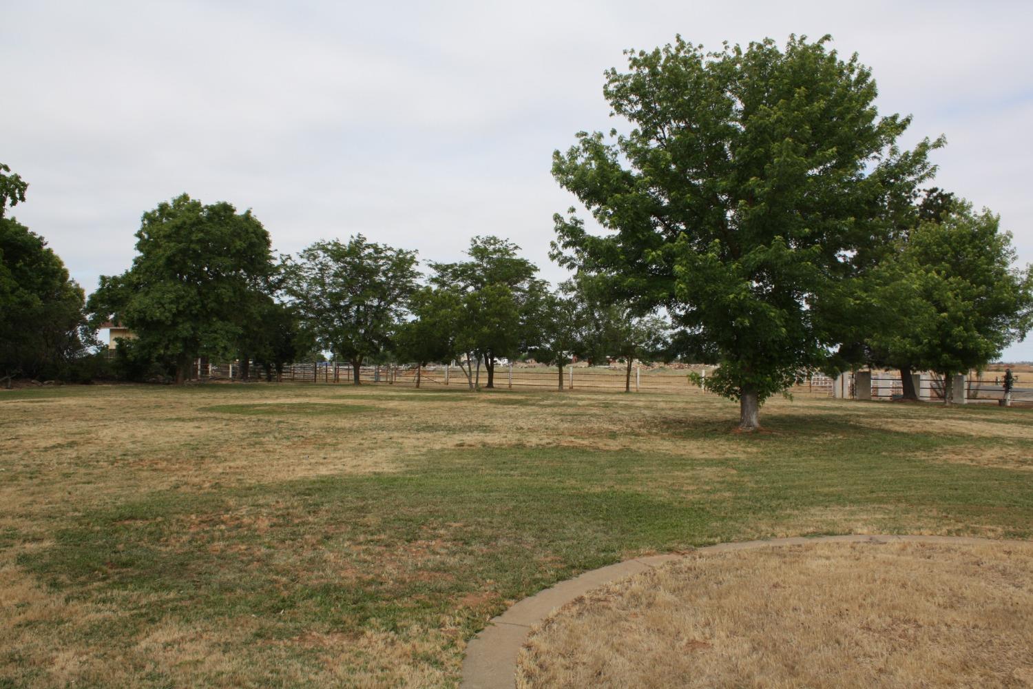 Elder Creek Road, Sacramento, California image 2