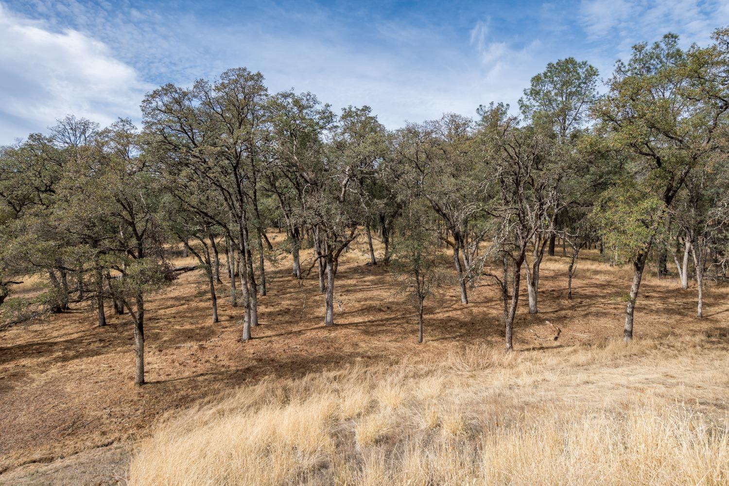 Detail Gallery Image 3 of 12 For 23272 Darkhorse Dr, Auburn,  CA 95602 - – Beds | – Baths