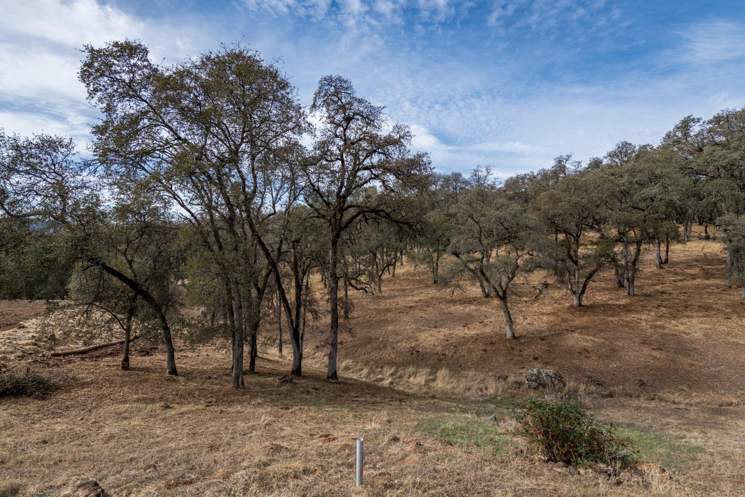 Detail Gallery Image 4 of 12 For 23288 Darkhorse Dr, Auburn,  CA 95602 - – Beds | – Baths