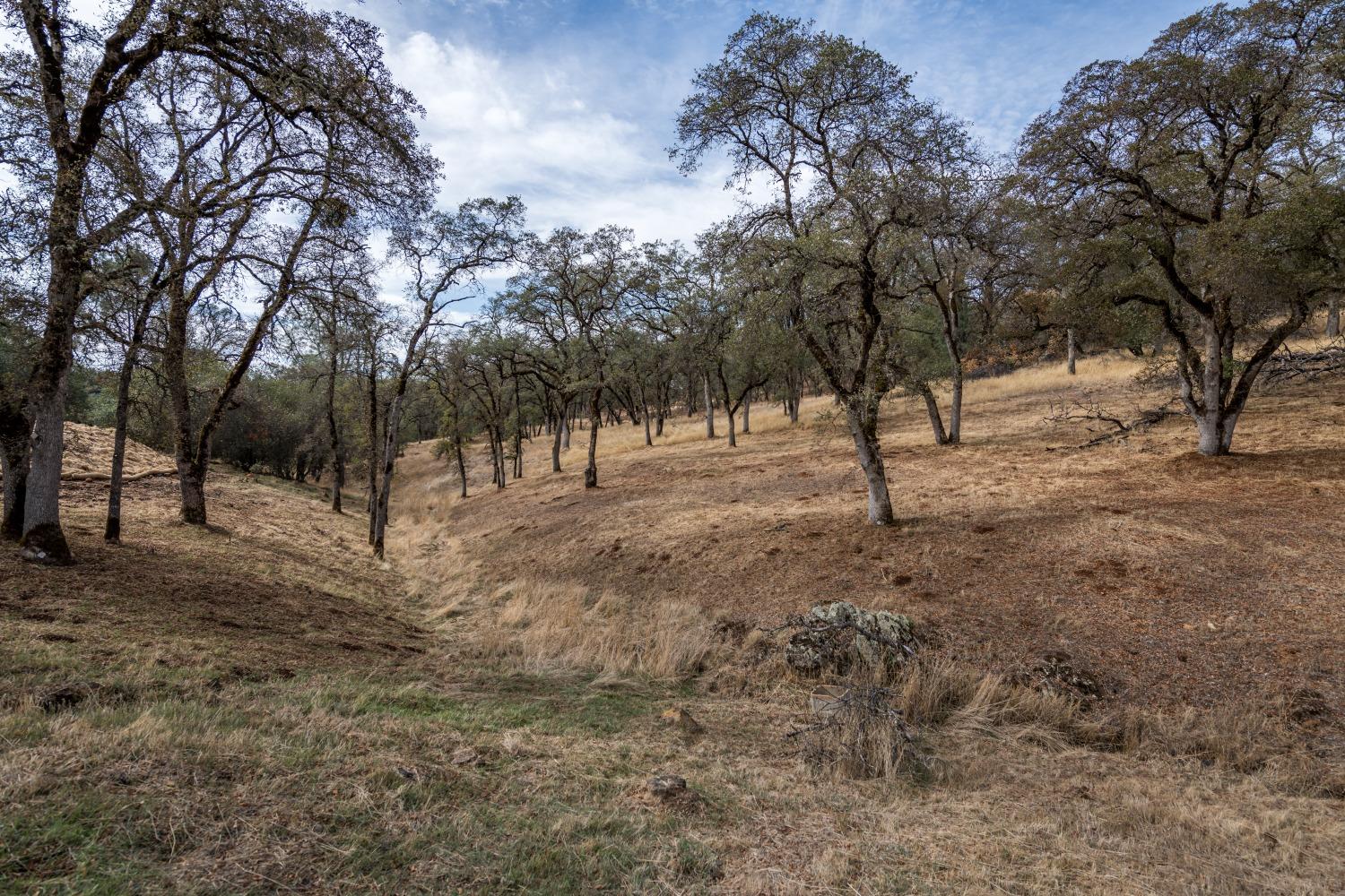 Detail Gallery Image 6 of 12 For 23288 Darkhorse Dr, Auburn,  CA 95602 - – Beds | – Baths