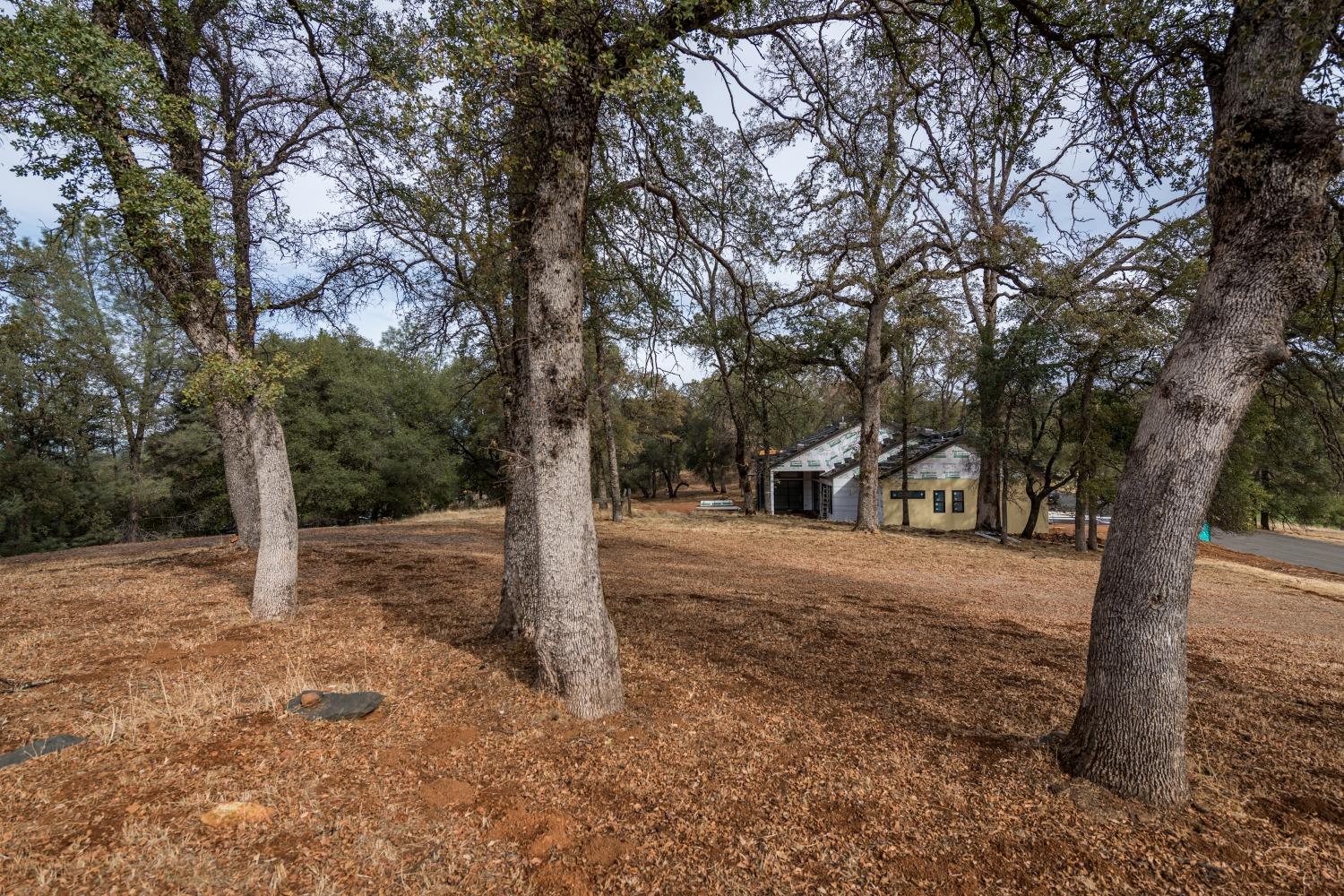 Lot 154 Ironwood Court, Auburn, California image 7