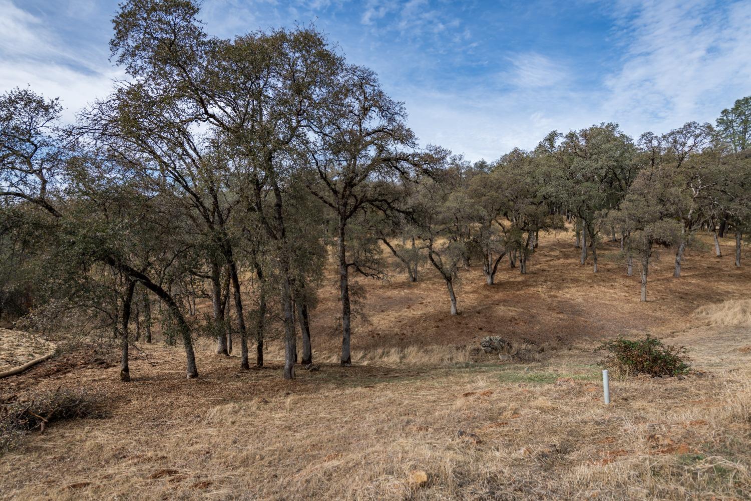 Detail Gallery Image 3 of 12 For 23288 Darkhorse Dr, Auburn,  CA 95602 - – Beds | – Baths