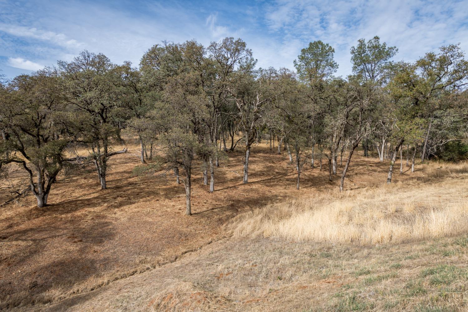 Detail Gallery Image 2 of 12 For 23272 Darkhorse Dr, Auburn,  CA 95602 - – Beds | – Baths