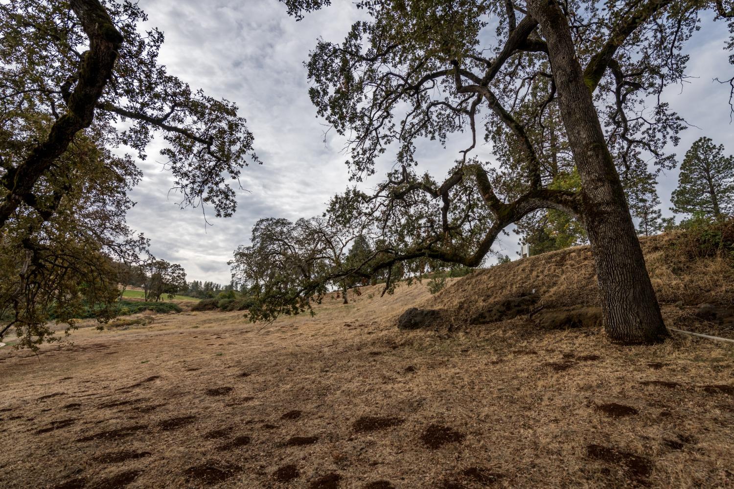 Lot 59 Bunkerhill Court, Auburn, California image 10