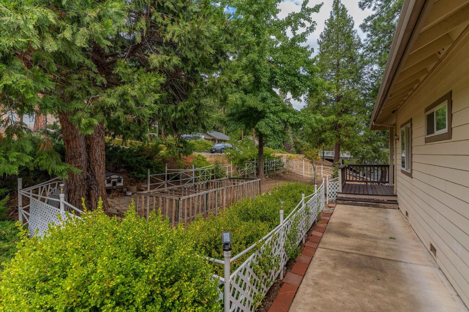 Stephanie Way, Pioneer, California image 10