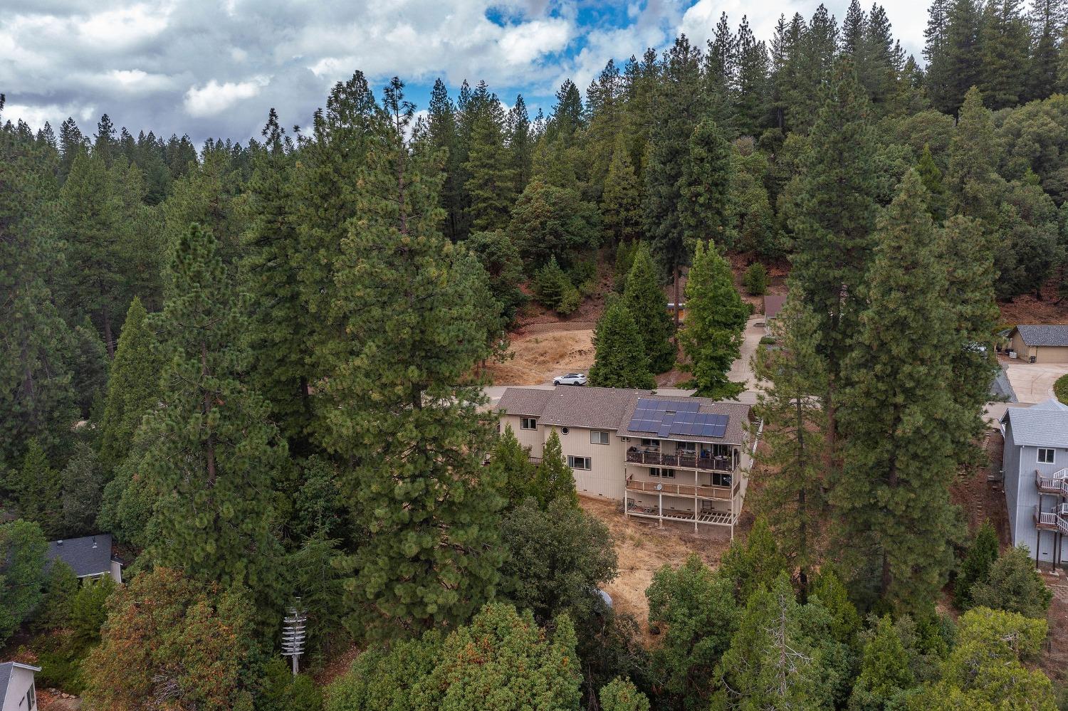 Stephanie Way, Pioneer, California image 3