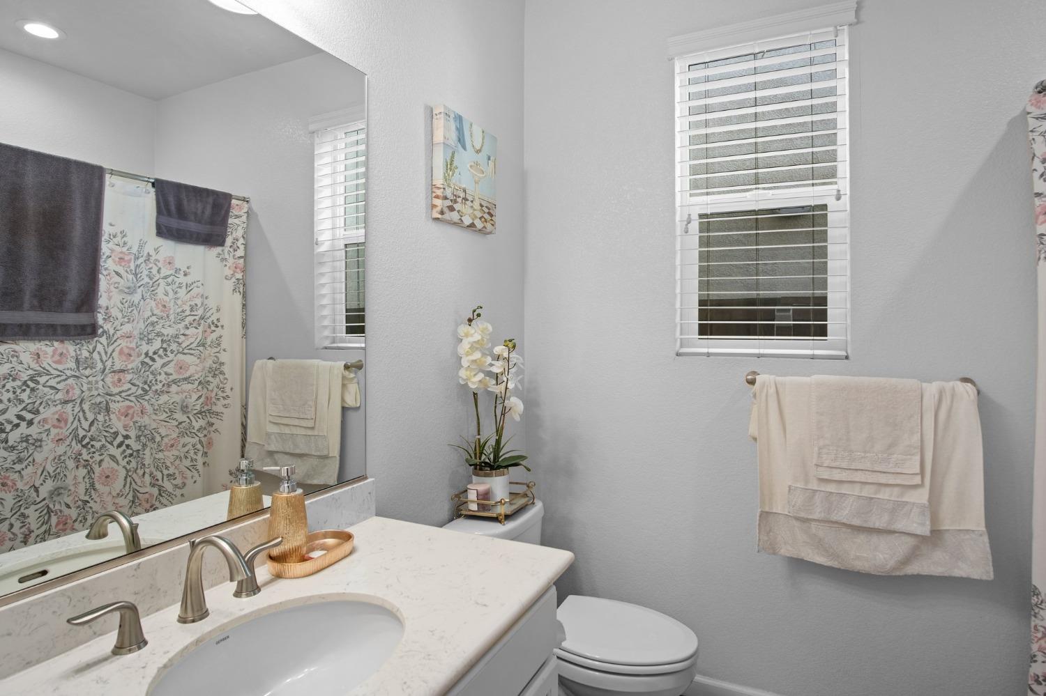Detail Gallery Image 17 of 32 For 1809 Holborn Dr, Lathrop,  CA 95330 - 4 Beds | 3/1 Baths