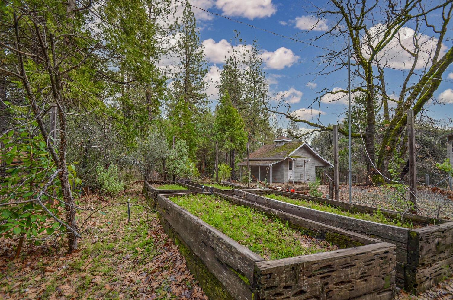 Andrews Road, Pine Grove, California image 38