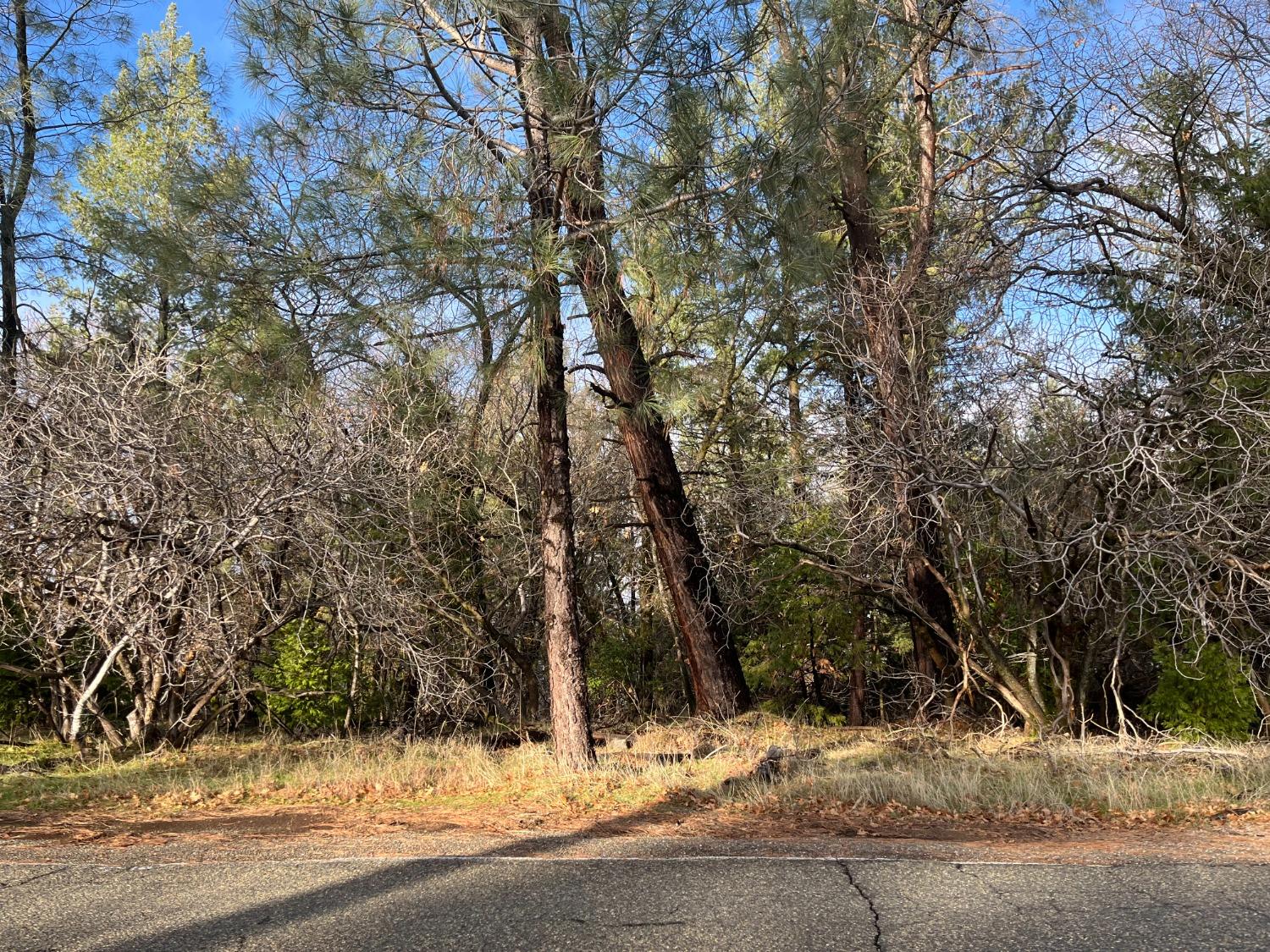 Photo of 2141 Union Ridge Rd in Placerville, CA