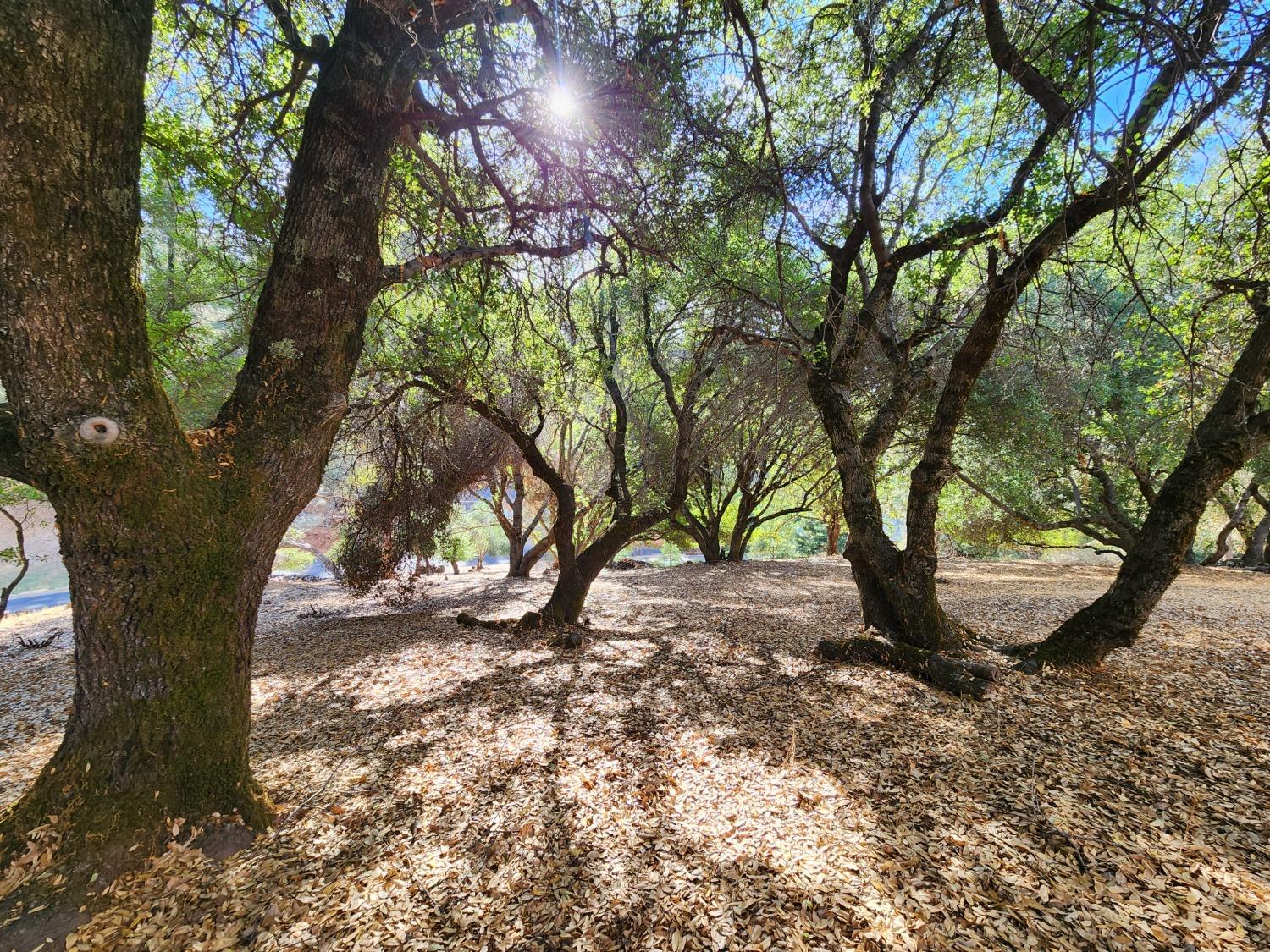 Cherokee Court, Cool, California image 43