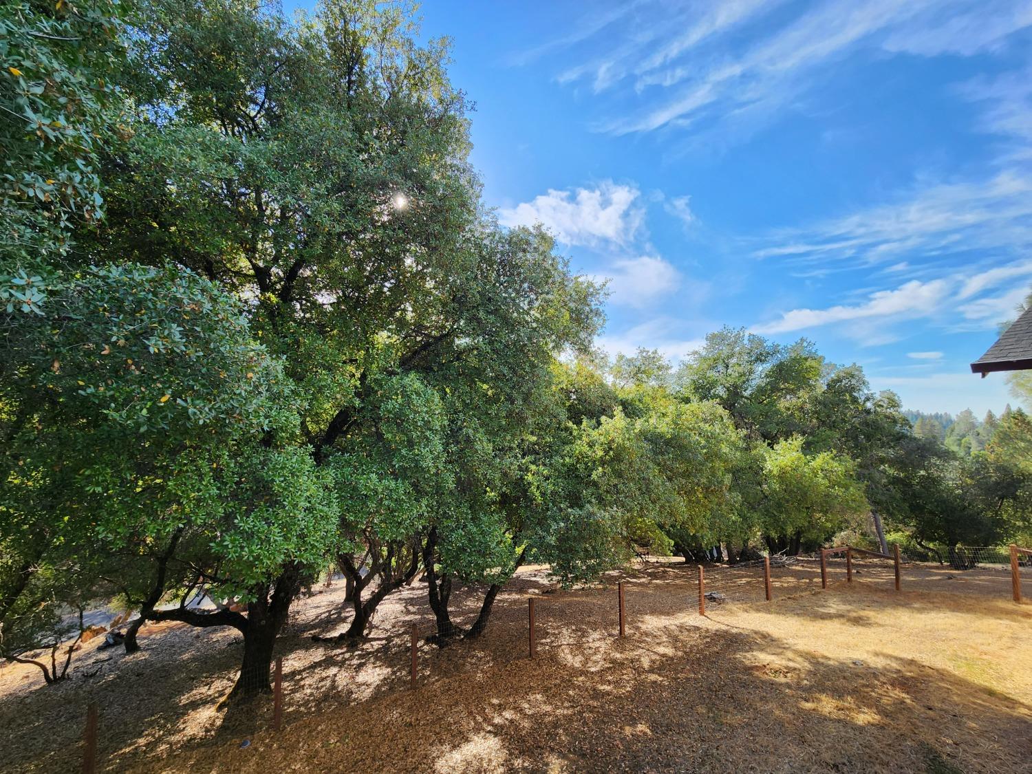 Cherokee Court, Cool, California image 37