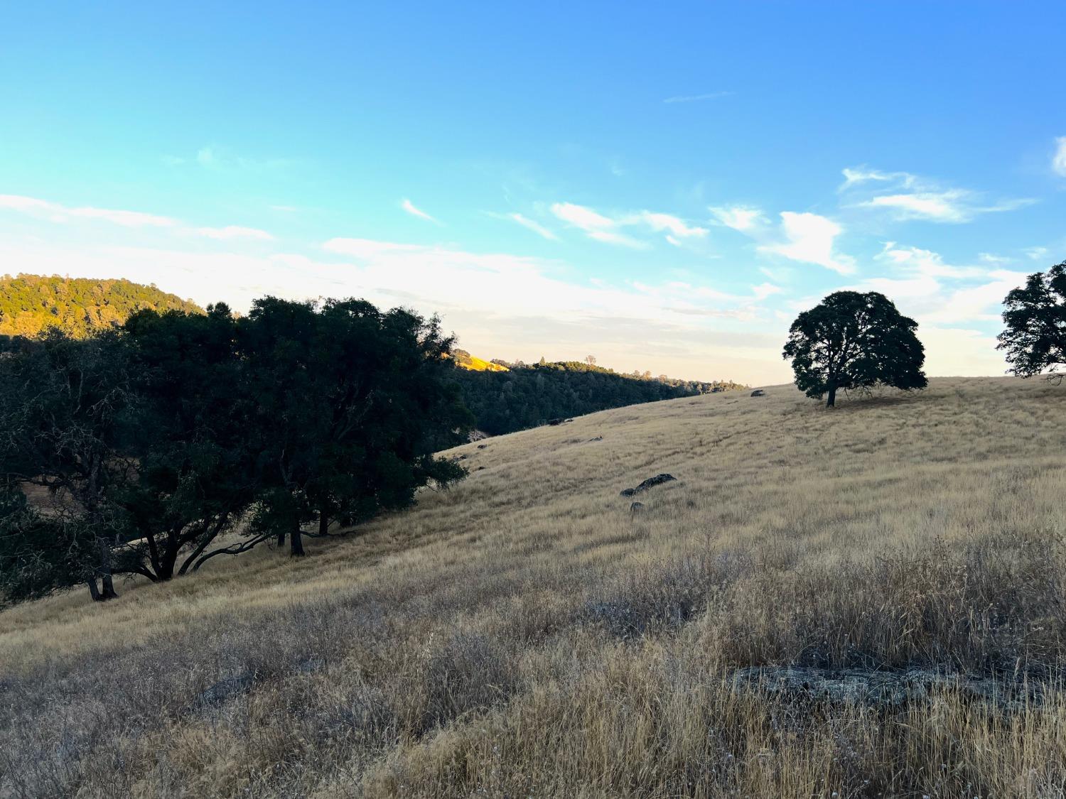 State Hwy. 49, Plymouth, California image 12