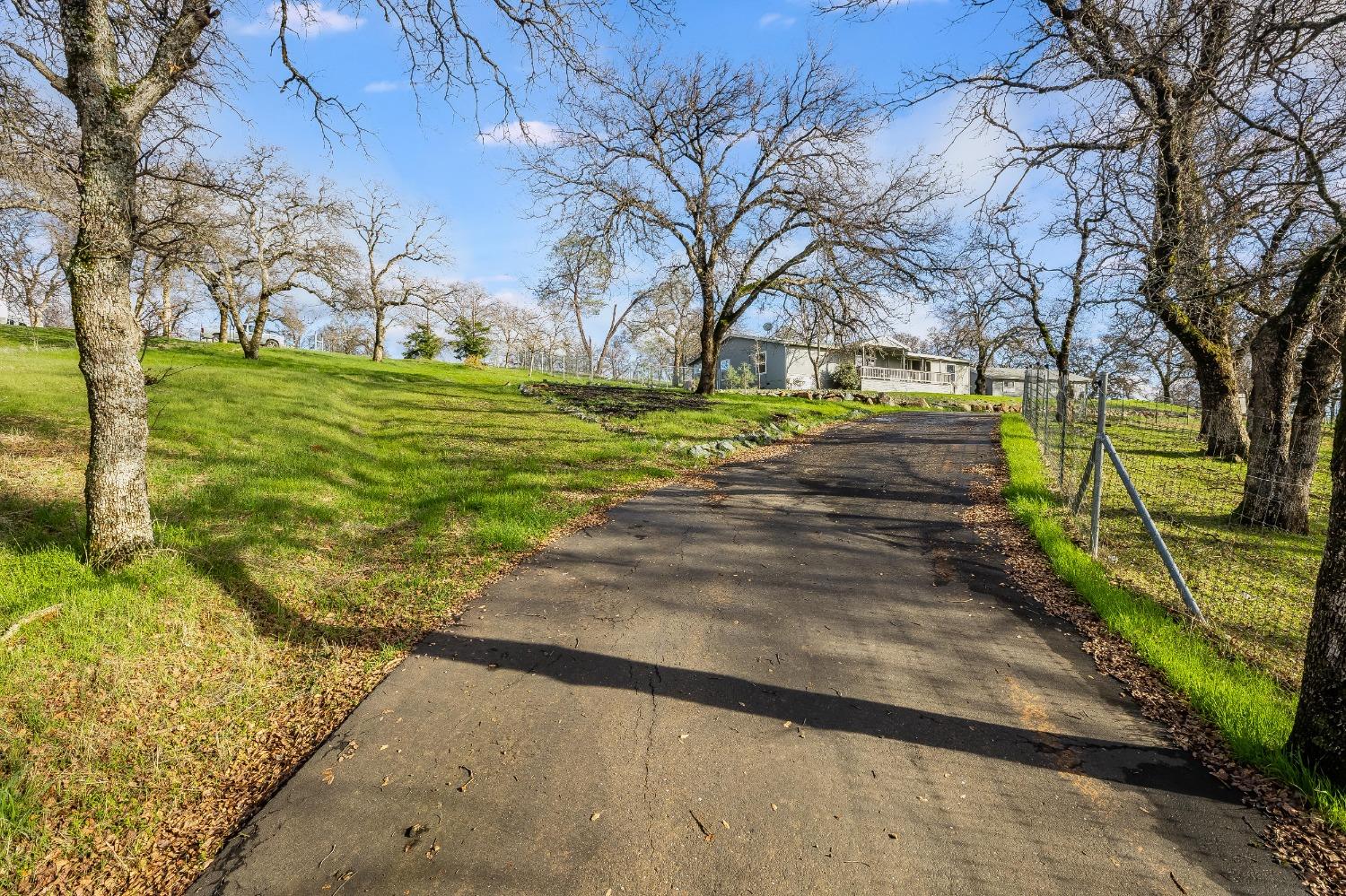 Heleen Bart Court, Browns Valley, California image 3