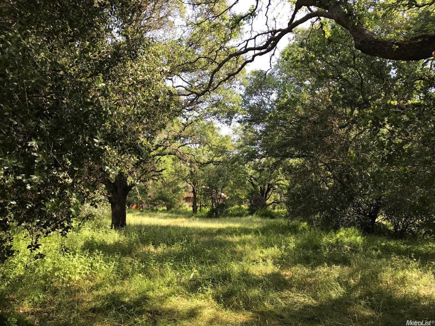 Lot 1 Oak Ave, Citrus Heights, California image 8