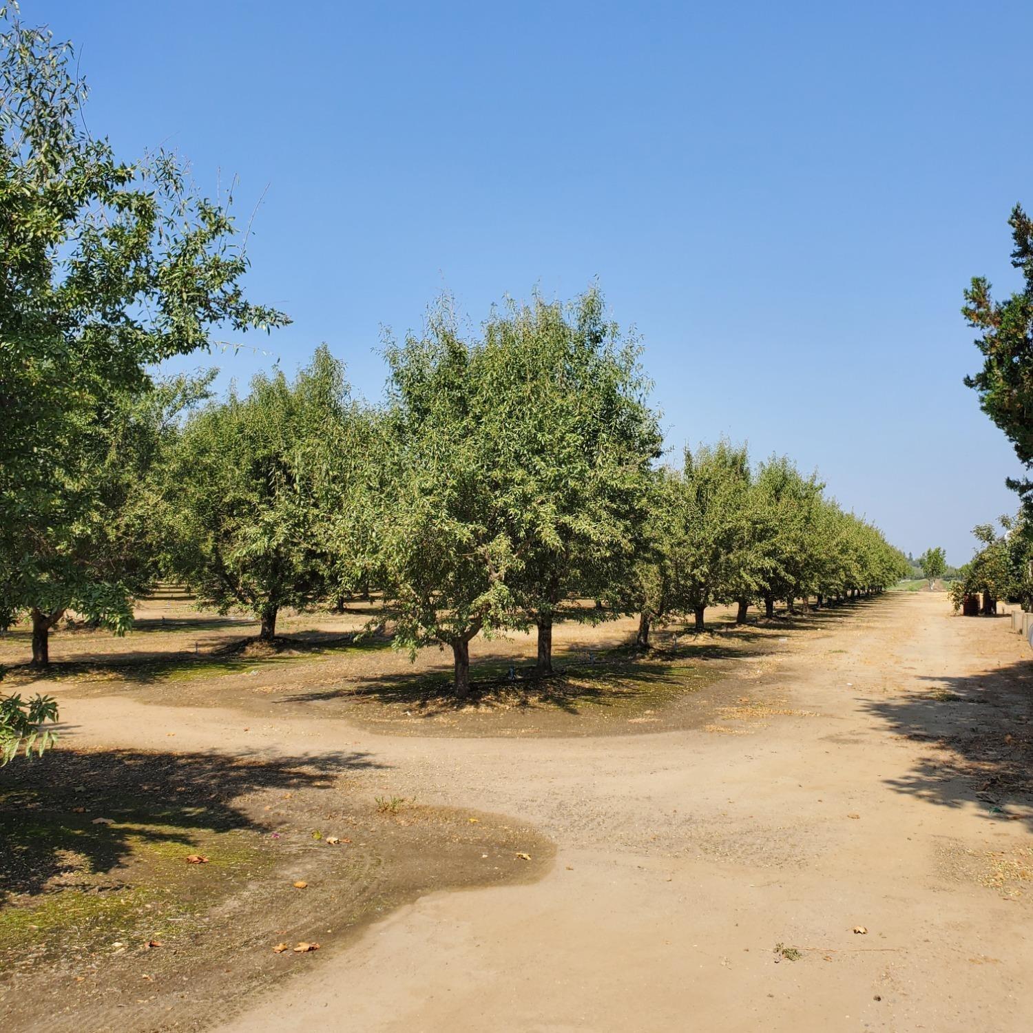 E State Route 120, Escalon, California image 3