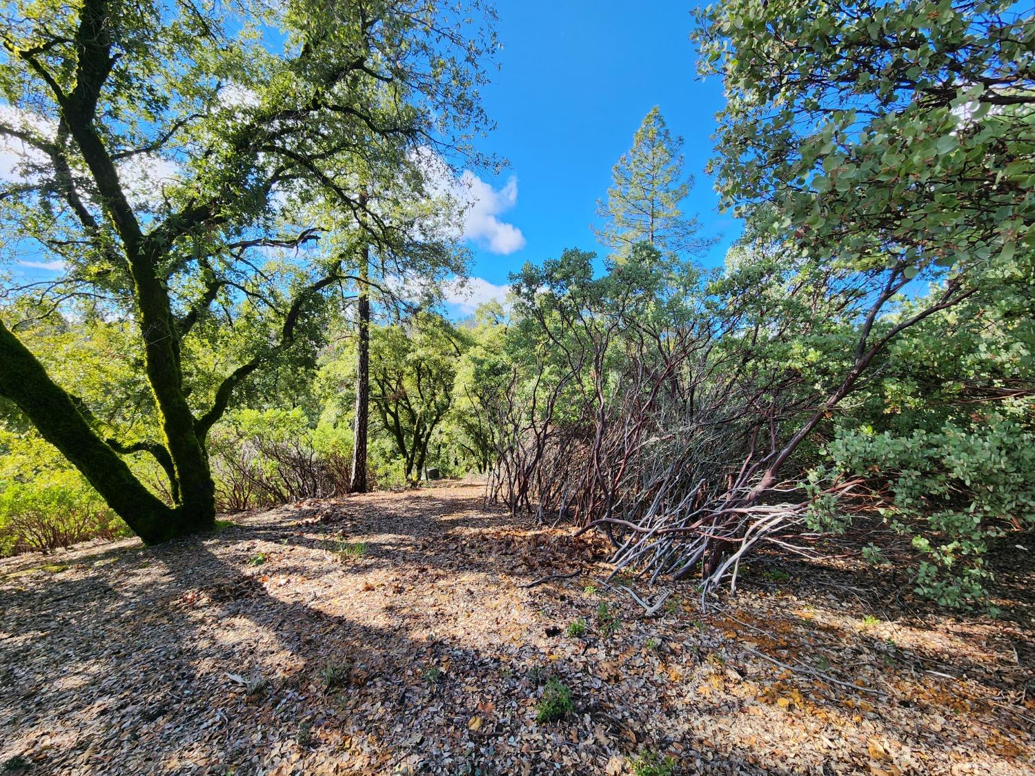 Detail Gallery Image 3 of 21 For 20335 Montana Ln, Colfax,  CA 95713 - – Beds | – Baths