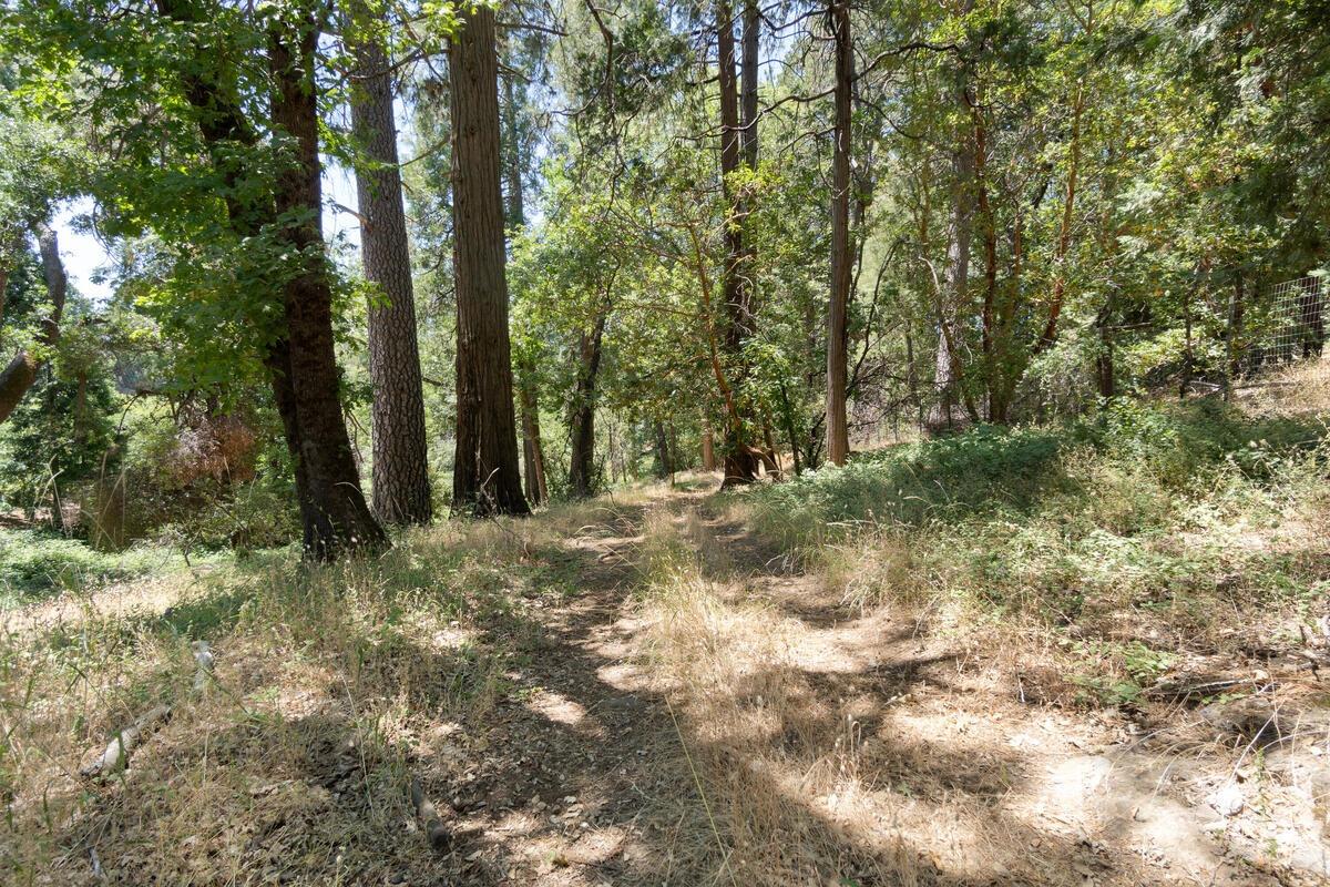 Detail Gallery Image 47 of 50 For 2360 Union Ridge Road, Placerville,  CA 95667 - 4 Beds | 4 Baths