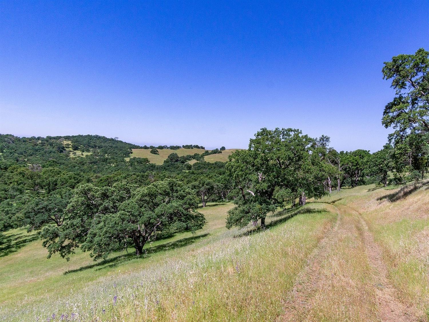 Detail Gallery Image 51 of 68 For 0 40 Acres Ascension Ln, Pilot Hill,  CA 95664 - – Beds | – Baths