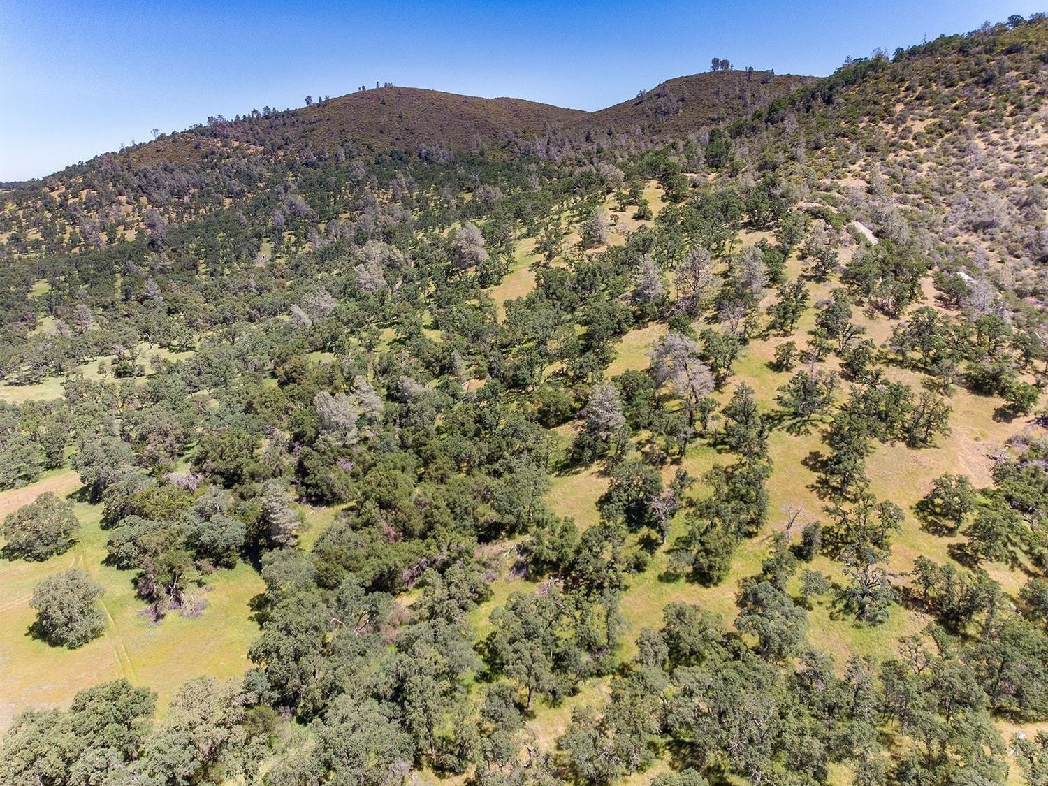 Detail Gallery Image 63 of 68 For 0 40 Acres Ascension Ln, Pilot Hill,  CA 95664 - – Beds | – Baths
