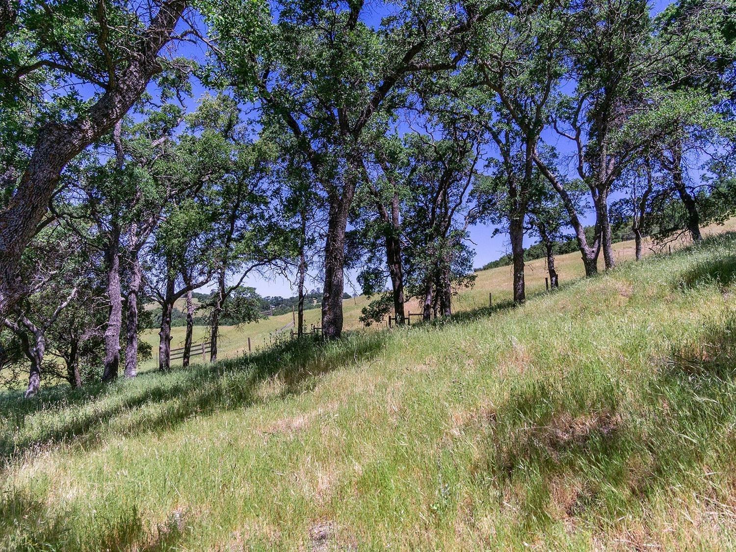 Detail Gallery Image 53 of 68 For 0 40 Acres Ascension Ln, Pilot Hill,  CA 95664 - – Beds | – Baths
