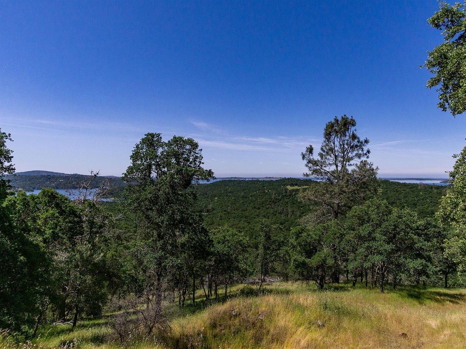 40 Acres Ascension Ln, Pilot Hill, California image 49