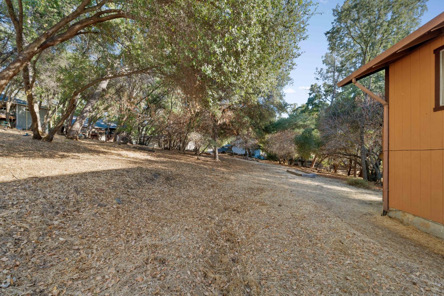 Woodland Loop, Penn Valley, California image 37