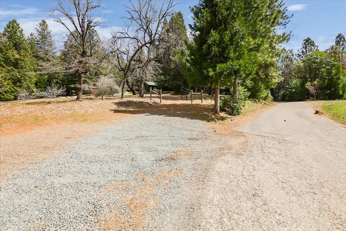 Forbestown Road, Challenge, California image 18