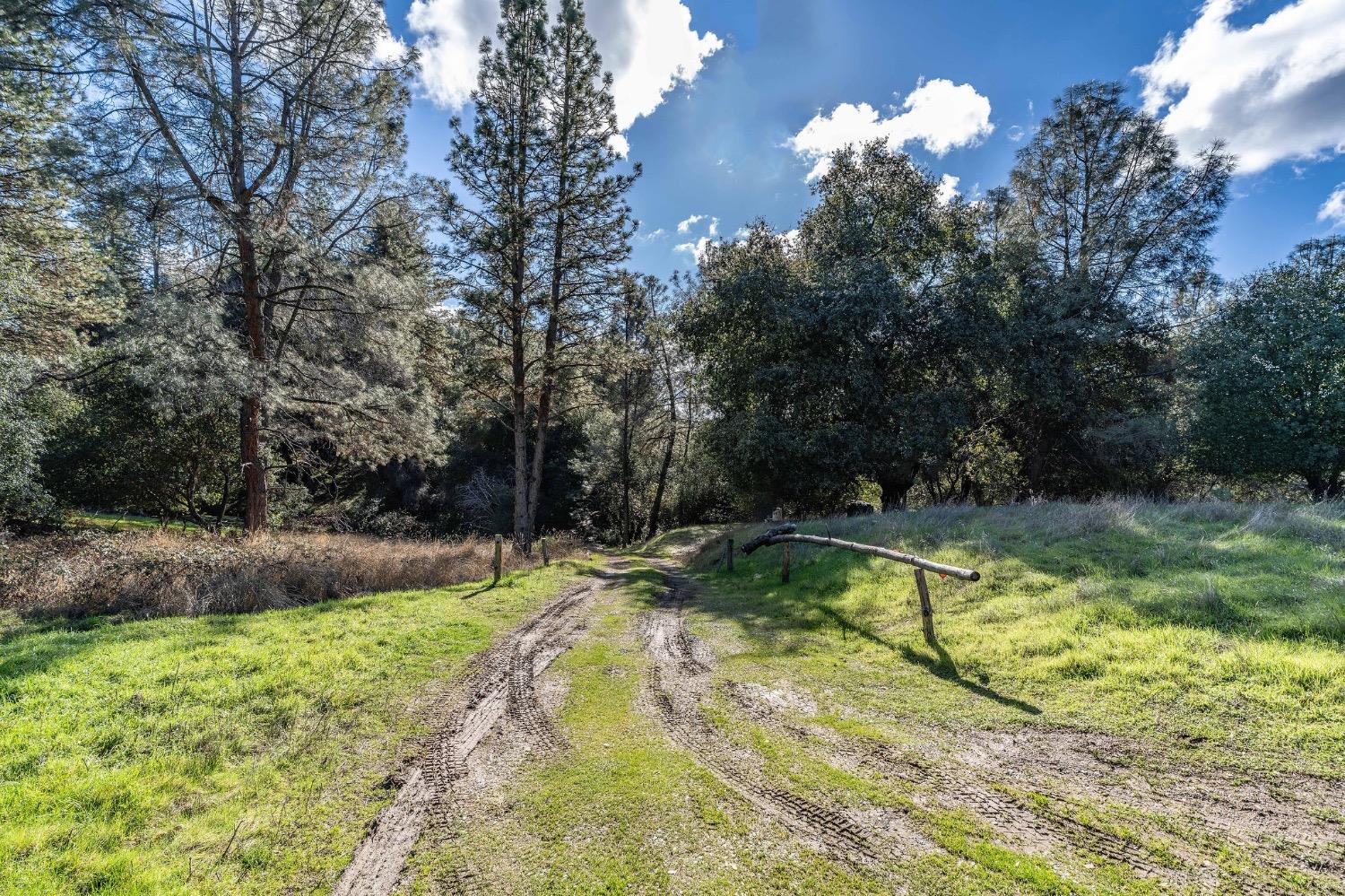 Photo of 17748 Red Mule Rd in Fiddletown, CA