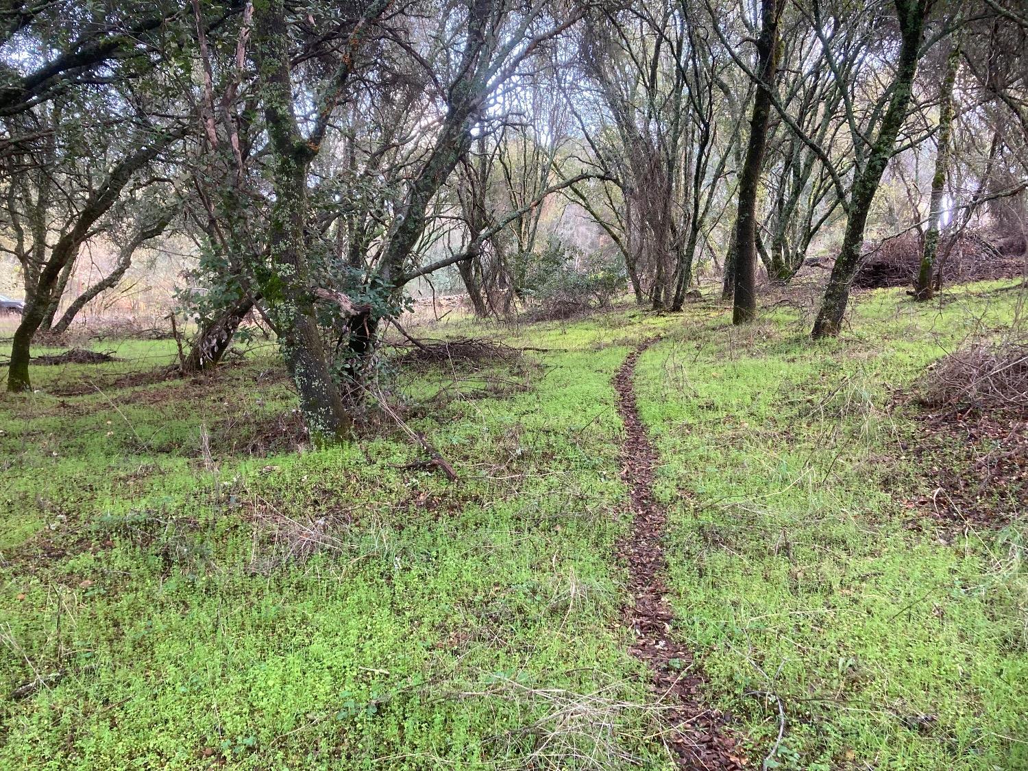 Burke Drive, Plymouth, California image 10