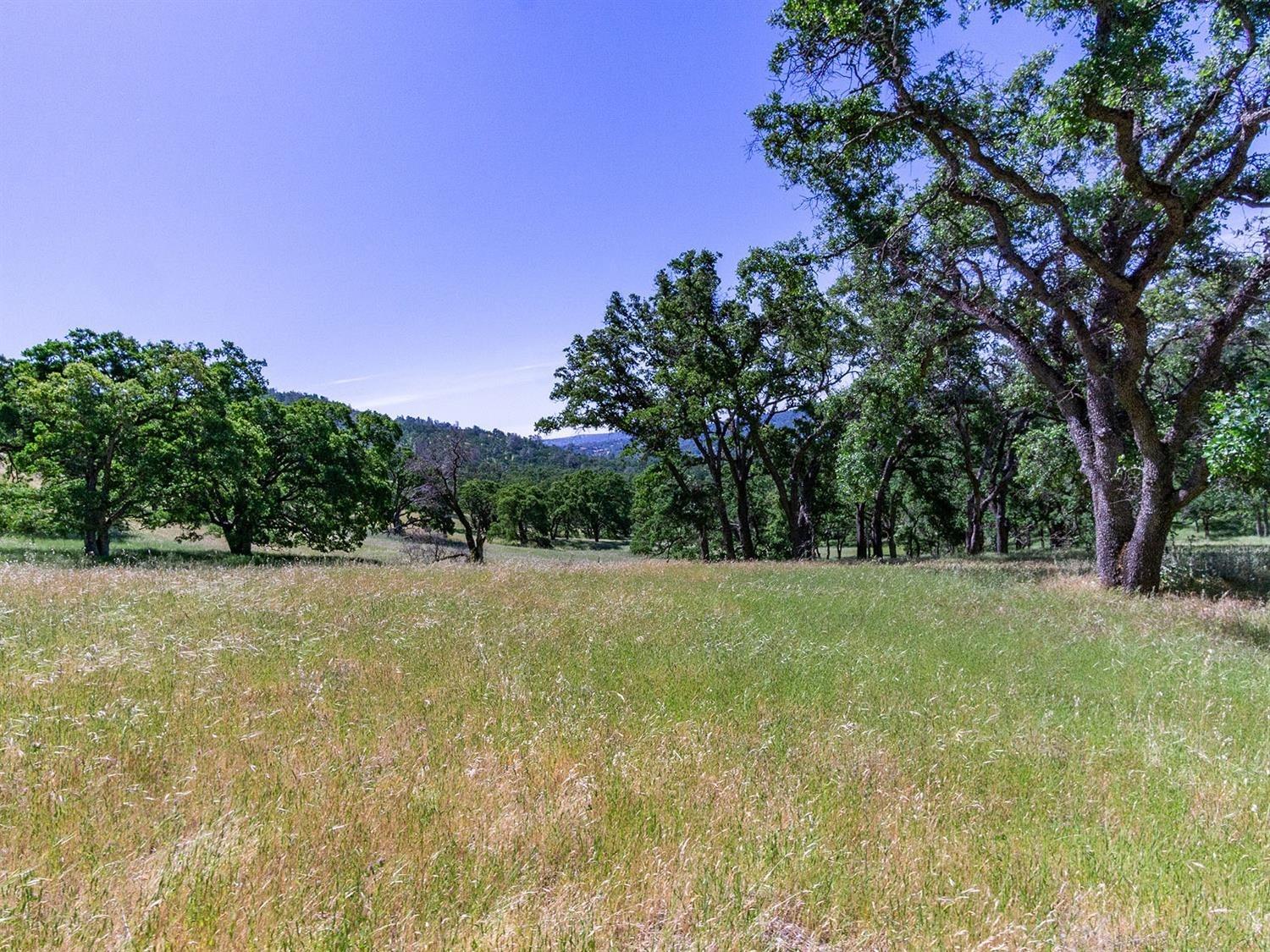 Detail Gallery Image 43 of 68 For 0 40 Acres Ascension Ln, Pilot Hill,  CA 95664 - – Beds | – Baths