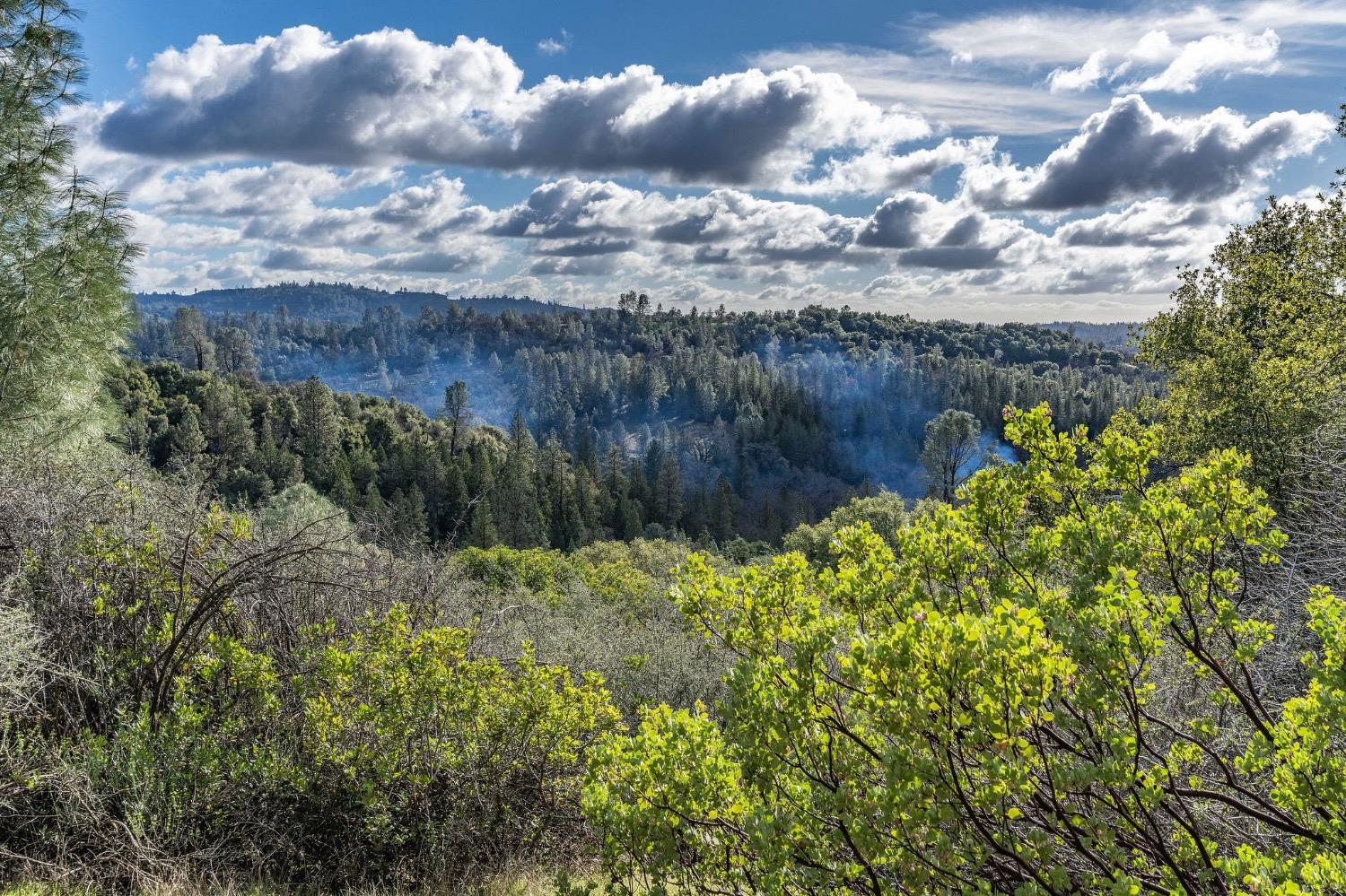 Red Mule Road, Fiddletown, California image 19