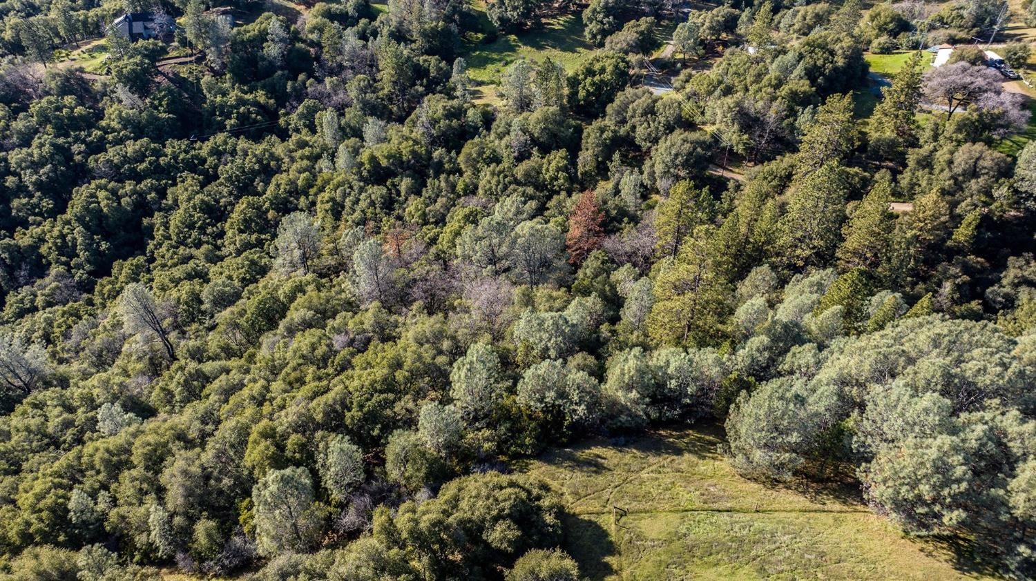 Red Mule Road, Fiddletown, California image 29