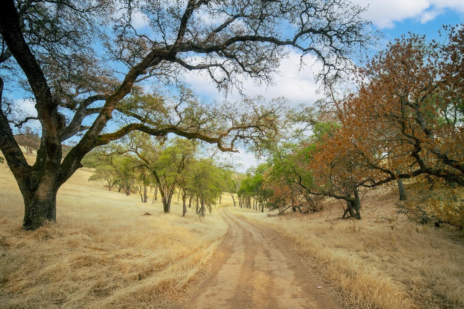 Detail Gallery Image 38 of 68 For 0 40 Acres Ascension Ln, Pilot Hill,  CA 95664 - – Beds | – Baths