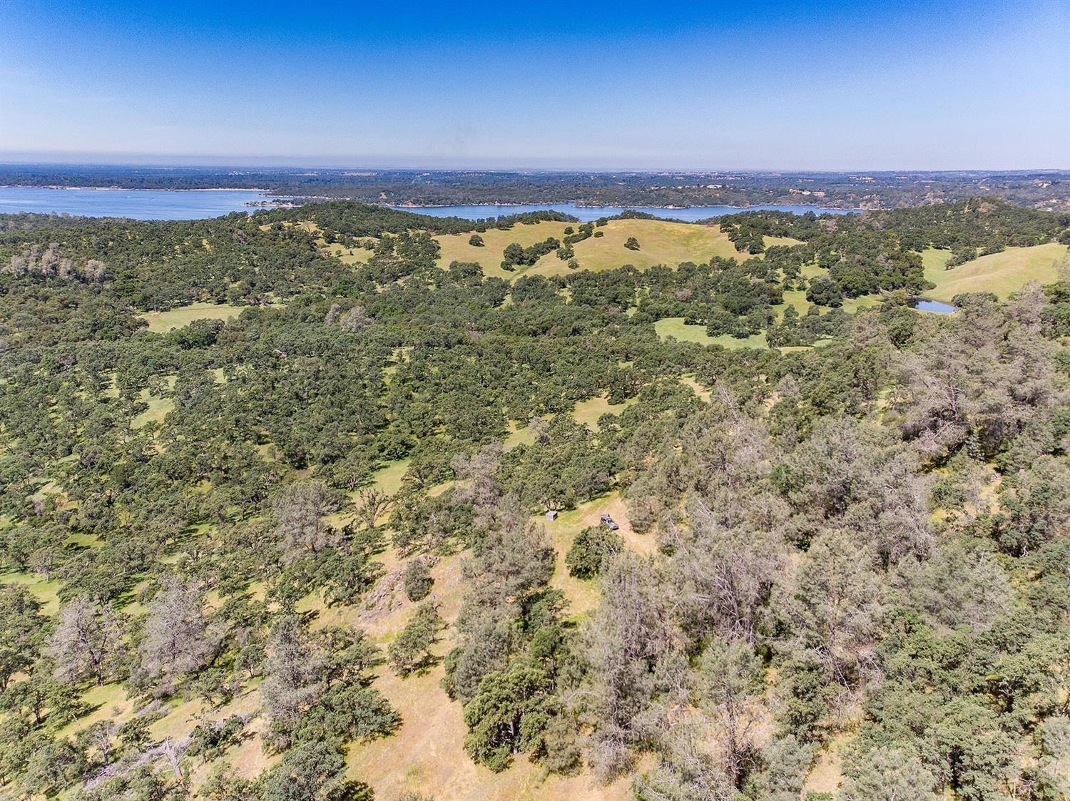 Detail Gallery Image 56 of 68 For 0 40 Acres Ascension Ln, Pilot Hill,  CA 95664 - – Beds | – Baths